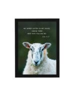 My Sheep - Christian Framed Poster WallArt 12x16"